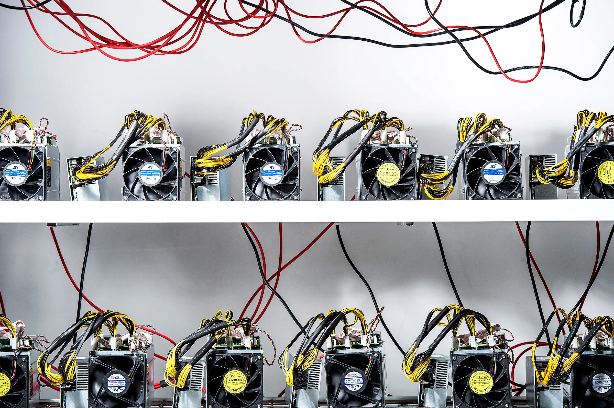 How to start your own crypto mining business